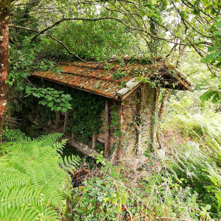 Pensjonat Casa Do Cruzeiro Paredes de Coura Zewnętrze zdjęcie