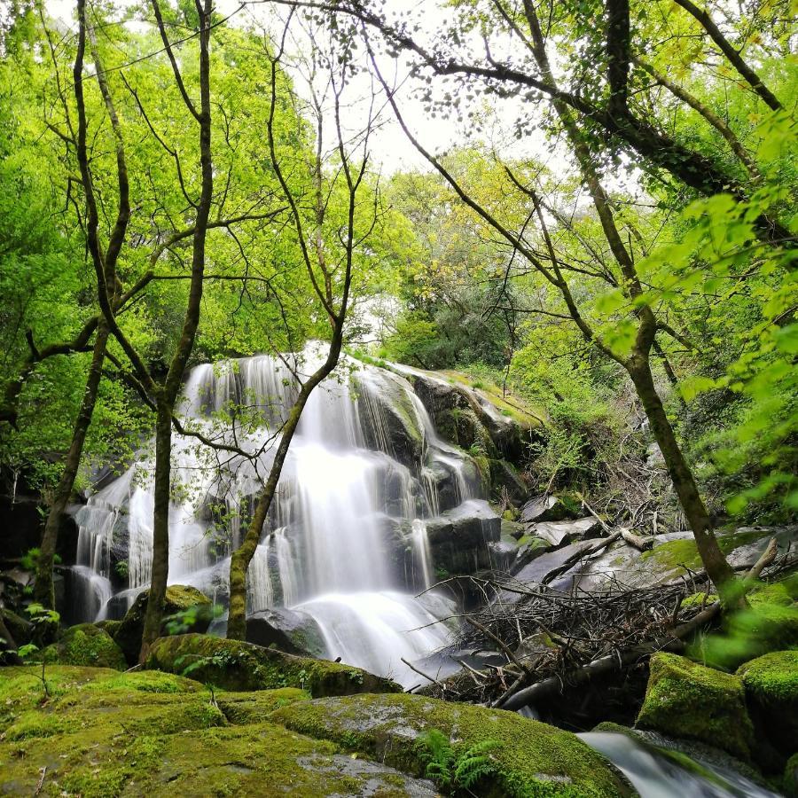 Pensjonat Casa Do Cruzeiro Paredes de Coura Zewnętrze zdjęcie