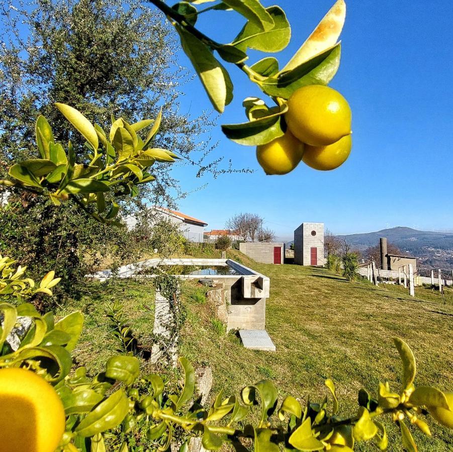 Pensjonat Casa Do Cruzeiro Paredes de Coura Zewnętrze zdjęcie